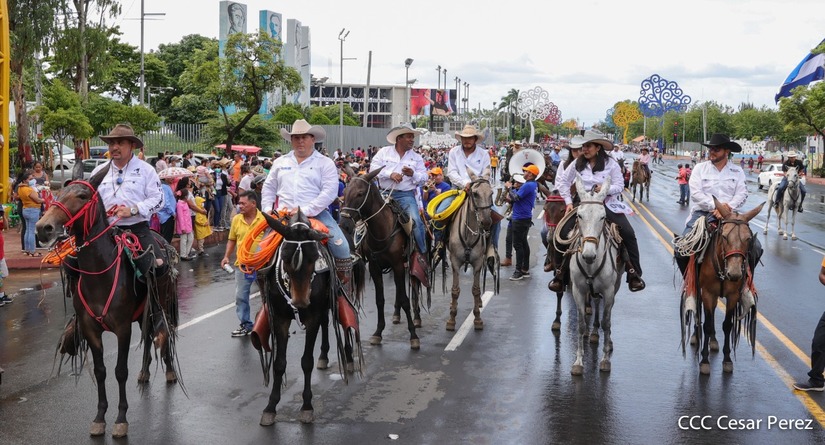 HIPICO